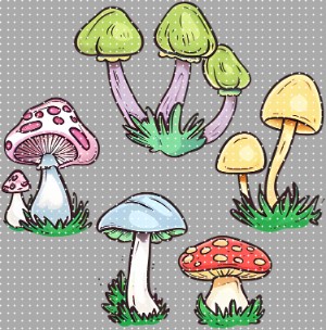 cup lid design-BG 1464